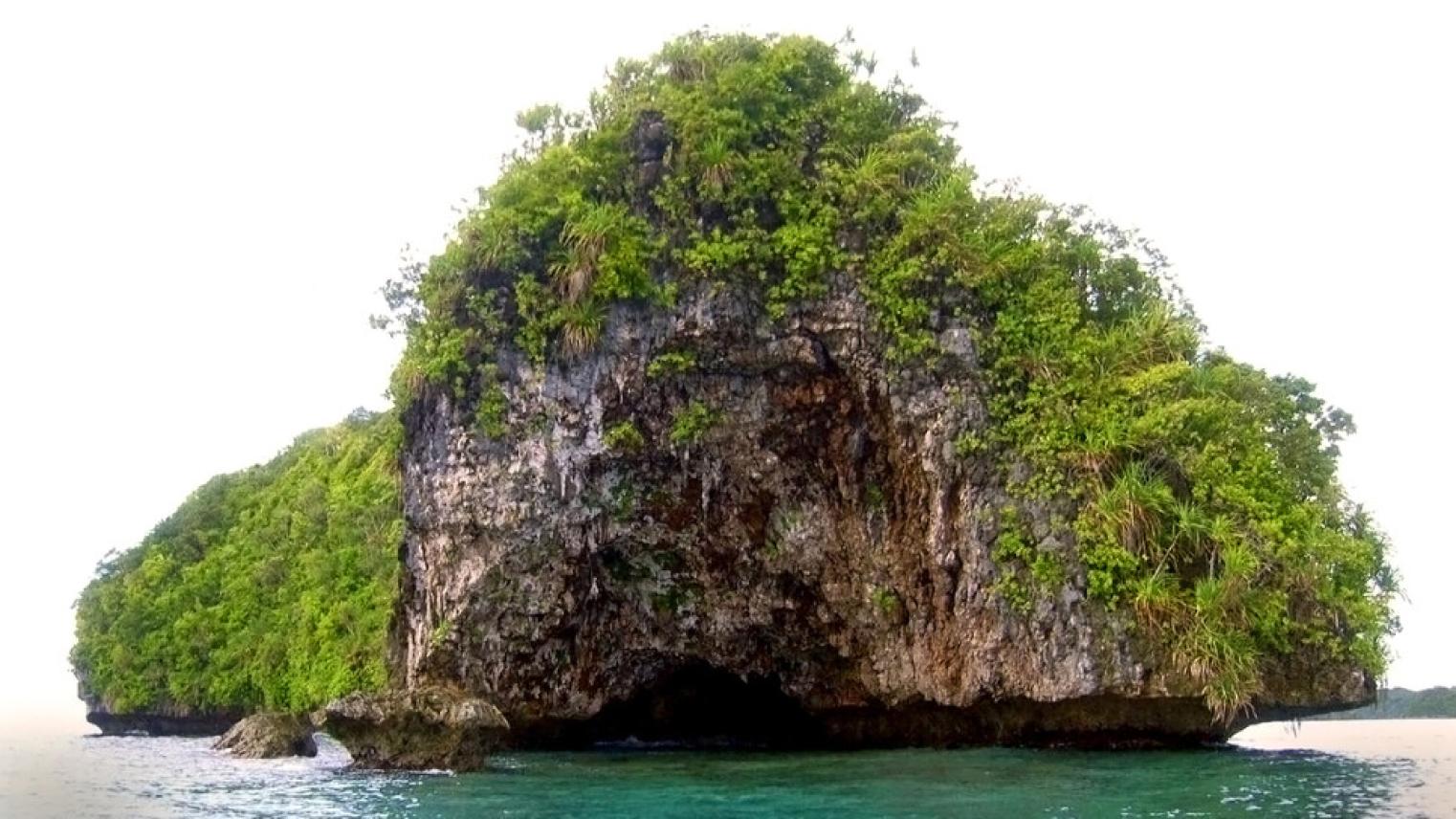 Rock Islands Southern Lagoon, Chomedokl north cave entrance, © Geoffrey Clark A shot facing an island from front on. The island looks like a large rock with greenery over it in the bright blue ocean.